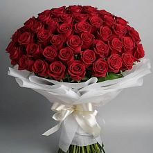 Букет 101 Красная роза Блэк Мэджик в Грязь