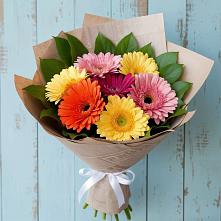 Букет цветов из:  Герберы в Грязь