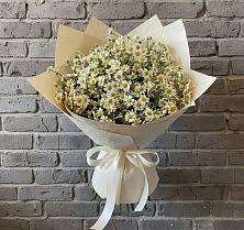 Букет цветов из:  Ромашки #REPLACE_PRED# Грязь