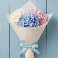 Букет цветов из:  Гортензия в Грязь
