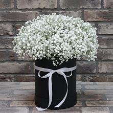 Цветочная композиция из Гипсофила в шляпной коробке в Грязь