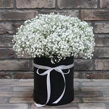 Цветочная композиция из Гипсофила в шляпной коробке в Грязь