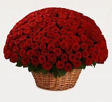 Премиум букет из: Розы в Грязь